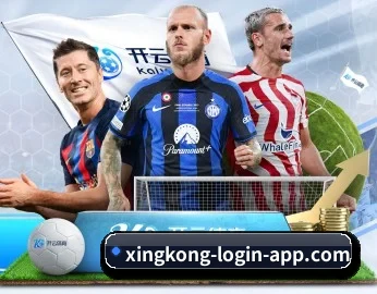 星空登录 官方入口、APP下载与帮助中心界面