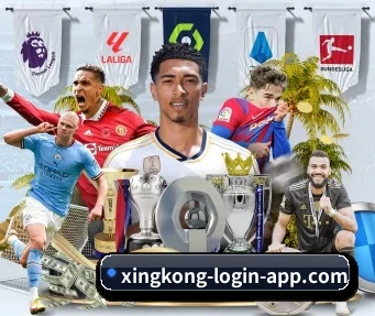 星空登录 APP