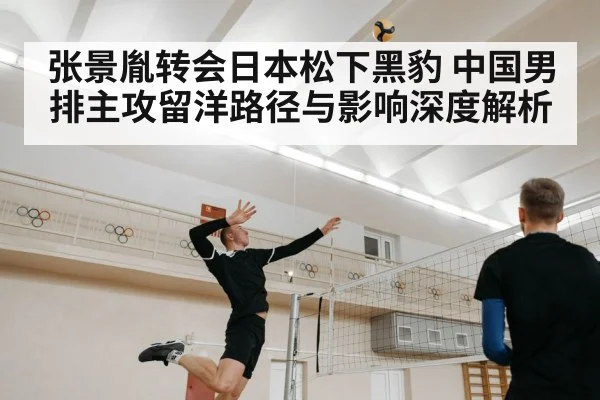 张景胤转会日本松下黑豹 中国男排主攻留洋路径与影响深度解析
