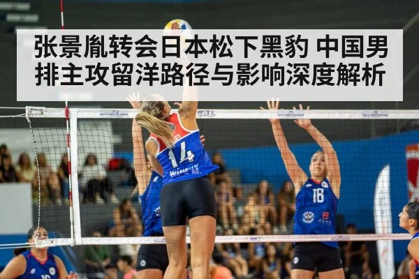 volleyball match action