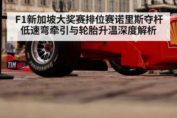 formula 1 racing tires